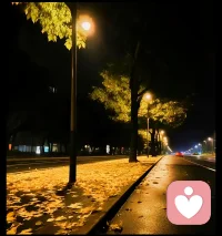 突然一阵微风拂过，把往事都吹来，也吹乱了我的心绪，好似有故人来吧。配图