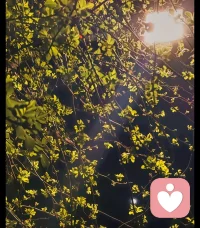 离开错的人，才能和对的相逢。配图