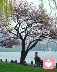 不结婚，晚年没伴
结了婚，不一定活到晚年
不拼命工作，没钱养老
太拼命工作，有可能用不着养老
有些路不走不甘心，走了一身伤
人生就是这样，无论怎么选
都会有遗憾
无论你怎么精心策划都抵不过命运的安排。配图