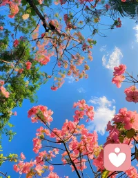 终有一天，你会静下心来，
像个局外人一样回顾自己的故事，
然后笑着摇摇头，浮生不过梦一场，
所有你治愈你的，从来不是时间，
而是你内心的那份释怀和通透!配图