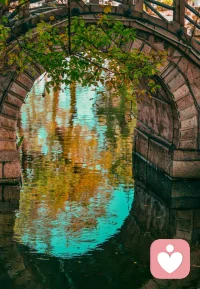 如果累了，
不如坐下来歇一会，
喝一杯不凉不烫的清茶。
不纠结、少俗虑，
随遇而安，
一颗初心，
安静地慢煮生活。