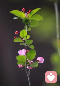 曾仕强教授说：人最好的状态，就是销声匿迹，半隐半藏，自我沉淀。
 在繁华中自律，在落魄中自愈。
 除了赚钱和健身以外，其实不需要太多的社交和喧哗，我们需要的是安静、独处，不被外界打扰，享受生活，低调清醒，悦己越己。配图