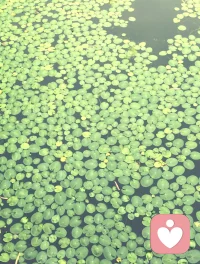 每天忙忙碌碌，此時此刻，安安靜靜，可以以駐足停歇