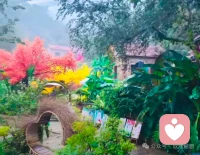 此时此刻，我在不远处静静的聆听