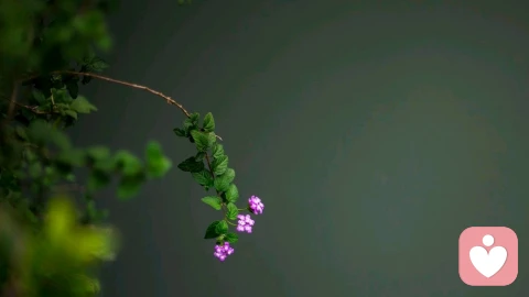 一个女人，这辈子能做好三件事，说明她真的很厉害、很优秀