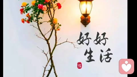 当下的力量》：如果你抑郁了，说明你活在过去，如果你焦虑了，说明你活在未来，如果你很平静，说明你活在当下