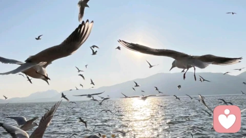 真正有头脑的女人，一辈子有三不管，越不管越好命