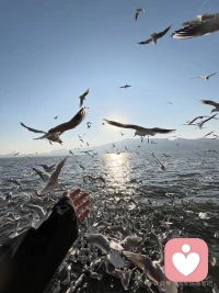 什么事都藏在心理是非常累的，我们需要宣泄一下配图