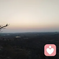 学会放手，做一个轻松的人