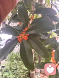 1、用付出，篩出貪婪。2、用沉默，篩出真誠。3、用示愛，篩出劣根性。配圖