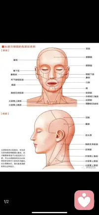 人生中最大的陷阱
往往是以最誘人的方式出現配圖