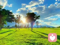 心安便是最好的归处。学会放下无法掌控的事，与自己和解，保持内心纯净，放过他人也解脱自己。从容面对生活，在纷扰中找到属于自己的安稳与温暖。
​