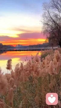 你不必时刻坚强，允许自己有脆弱的时刻，就像天空允许云朵偶尔遮住阳光。每一个情绪的低谷，都是内心在提醒你：该停下来，好好抱抱自己了。请相信，你走过的每一步，无论快慢，都在带你走向更温暖的明天。你值得被理解，被温柔以待，尤其是被你自己。