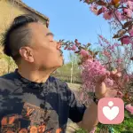 關照心理的頭像