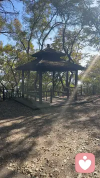 随和，是一种了不起的能力古人云：“天下无难事，有志者成之；天下无易事，有恒者得之。”志气、恒心都是一种了不起的能力，而随和，则是一种被低估的能力。三国时期，人才辈出，而草根出身的刘备却能够杀出重围，成为人生赢家，很大原因都是因为自身随和的品质。刘备统领众人，却从不标榜自己的身份，低调又谦逊，甘于居下，深得民心，许多百姓对他都生死相随。为求人才，他舍弃尊严，三顾茅庐，最终得到诸葛亮这一人才。
他不仅会识人，更会用人，因此诸葛亮为感激知遇之恩，为其鞠躬尽瘁，死而后已。随和，不仅是难得的素养，更是一种了不起的能力。在生活中，我们经常低估随和的力量，总以为，强势才能得人心，刚硬才能征服别人。殊不知，当你放下狂妄与自满，待人亲切，为人随和，才能赢得别人的尊重与敬佩。
原来随和，是一种能力 。
《道德经》中讲：“夫唯不争，故无尤”。
随和的人如水一般，看似柔软，实则力量无穷，不仅能包容世间万物，还能改变自己的命运。
正所谓滴水穿石，无论石头多么强硬，终究会被柔软的水所贯穿。
人，亦是如此，过于强硬早晚会招惹灾祸，唯有随和，才能在人生道路上越走越远。
随和，不是没有原则
而是一种智慧
孟子言：“君子莫大乎与人为善。”
随和，不是说话唯唯诺诺，不是所谓的老好人，而是一种与人为善，乐于助人的优秀品质。
《红楼梦》中的刘姥姥，可谓是聪明随和的典型，她深知自己只是贾府的远方穷亲戚，因此言语谨慎，步步留神。
王熙凤与鸳鸯故意捉弄她讨好贾母，事情过后，才向她道歉，刘姥姥听完则笑着说道：“为了老太太开心，有啥可恼的，不过下次提前知会一声。”
第二次来到贾府时，本想给大家讲个冬天偷柴火的笑话，可突遇贾府失火，她便立马换了话题。
刘姥姥的随和机智，让大家从刚开始的不待见，到后来逐渐接受她。
就连尖酸刻薄的王熙凤，最后都能信任于她，将自己的女儿巧姐托付于她。
正所谓：“精明不如厚道，计较不如坦诚，强势不如和善。”
随和的人，极其聪慧，眼睛可以洞察世界，灵魂可以窥探人心。他们拥有“难得糊涂”的智慧，在苦难的人生中寻找乐趣与机会，有着高瞻远瞩的思想和境界。
随和，是一种了不起的能力
古人云：“天下无难事，有志者成之；天下无易事，有恒者得之。”
志气、恒心都是一种了不起的能力，而随和，则是一种被低估的能力。
三国时期，人才辈出，而草根出身的刘备却能够杀出重围，成为人生赢家，很大原因都是因为自身随和的品质。配图