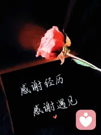 重新定义女性“三从四得”

三从: 从政,从法,从商,
四得: 得权,得利,得财,得势