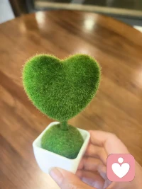 偶尔破碎，依旧明媚。

你好，我是静小心。❤