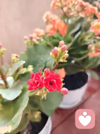 看别人不顺眼，其实是自己的修养不够！配图