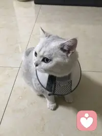 每一个生命都值得被温柔以待！