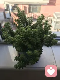 严冬过后，便是春暖花开！配图