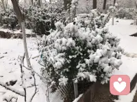 人间美景，尽收眼底！配图