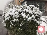 人间美景，尽收眼底！配图