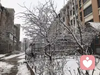 人间美景，尽收眼底！配图