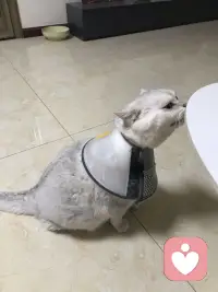 不要试图去改变一个人，成年人的世界之筛选，不教育！配图