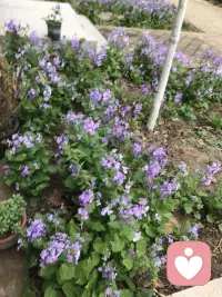 今天看到一句话觉得挺有意思分享给大家：九分是喜欢，一分是尊严，可以很爱你，也可以没有你，任何关系只要你的态度告诉我你不缺我，我绝不会多看你一眼，人与人之间都是相互的，你给我珍惜，我还你值得，你给我距离，我还你分寸。予我真心，便以余生相赠，待我薄情，便从此陌路无声！