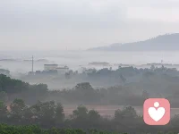 银蛇将归洞，金马正踏蹄，美好，从不是多大的奢侈品，正在飘过山，跨过海，向你千寻奔赴，你是否正在忙碌？