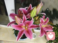 教育双向成长的修行，他/她第一次当孩子，你也是第一次做父母！当你学会反思，倾听孩子的心声，孩子也会像哪吒一样，在叛逆中学会担当，在冲突中学会感恩！配图