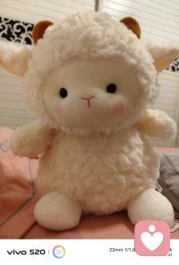 教育的最大误区就是总想改变孩子，而不想改变自己。你暴躁孩子就叛逆，你焦虑孩子就不安，你控制孩子就逃避，你指责孩子就自卑，你双标孩子就不服。你尊重孩子才愿意沟通，孩子重来不是听你怎么说，而是看你怎么做，孩子就是你的一面镜子，你温和孩子就平和，你自律孩子就自觉，你有爱孩子就善良。你变了孩子自然就好了。配图