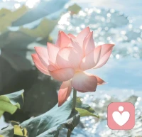 人这一生就是用来体验的，不管经历任何事情，我们都要勇敢享受过程，享受生命的旅程。