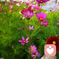 失恋：
失恋是一场无声的海啸，它不会立刻将你淹没，却会在每个不经意的瞬间把情绪拽入水底。起初是麻木，像身体被抽走了一半灵魂，曾经熟悉的场景突然变成伤人的利器，连刷到和对方相似的穿搭都会心口一紧。再后来是钝痛，像胸口压着一块石头，明明没有伤口，却连呼吸都带着痛感，熬夜、发呆、反复翻看聊天记录成了常态，甚至会因为对方一句无关痛痒的问候，瞬间红了眼眶。
需要诉说，陪伴的可以打电话给我！我们一起抚平伤口，慢慢愈合，放下，回归快乐生活，迎接下一段恋情！