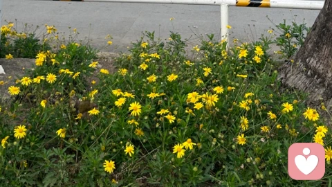 好的感情，都藏在“分寸感”里