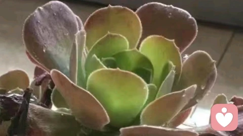 婚姻里的“小事”，才是决定幸福的关键