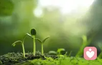 做你自己，因为别人都有人做了。如果把我们能做到的都做了，最终连我们自己都会被吓到～配图