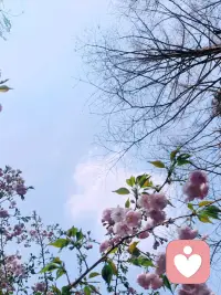 你所有的情绪来自于你的认知或思维 而不是事实本身～
早安☀️配图