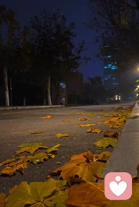 何以言，何能言，与谁言。配图