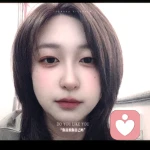 飛鳥與野獸的頭像