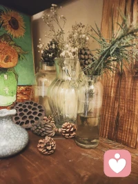 若將歲月開成花，人生何處不芳華。不必急著趕路，得慢慢欣賞沿途的風景，人生路上，享受過程比結果更重要，只有過程精彩了，結果才富有色彩。