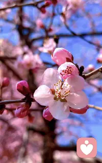 日子很难周全所有，你开心，它就幸福！天气在回暖，往后的日子都充满希望！