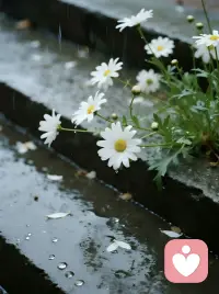 人间四月，清明雨落，我们站在春光里，回望逝去的时光。原来思念从不会随着时间变淡，反而在每一个清明，愈发浓烈，牵挂从未间断。