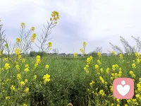 点外卖与完美主义
拿点外卖来说，有人会为点什么而纠结。
从外部环境看，是选择太多，生理来看是不太饿。

从内心认知来看，你希望点到一个味道很好的，而且希望这一次就把它点出来。

如果你的认知改成这次点一个跟上次差不多的就行，或者说我多点几次来找到好的味道，你就不会纠结，而是先点了试试。

本质来说，这种纠结是完美主义的一种体现，
因为想要得多，而且希望一步要到，而现实条件又没法让他都要到。

对于小的决定，当你觉得选a选b选c都很困难的时候，为了降低这种内耗，你随便选一个都可以，选择后的体验本身就是获取信息的过程，可以有助于下次做出更好的选择。


​我们很多时候希望从各种渠道去搜索，了解一个选择的信息，而忽视了我们去体验和去参与这个事情本身可能是最直接获取一手信息的方式。
​​换句话说，当可供认知的信息不足的时候，就去行动，行动本身带来的直接体验可以更新我们的认知。
​配图