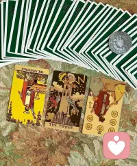 各位同学👭你不必活成玫瑰，你可以是野草，是劲竹，是任何你想成为的样子，自由且顽强❤️