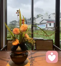 慢下来，与生活和解✨沉浸式疗愈身心，消解疲惫、舒缓情绪，守住内心安宁，遇见从容美好。