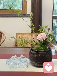 慢下来，与生活和解✨沉浸式疗愈身心，消解疲惫、舒缓情绪，守住内心安宁，遇见从容美好。