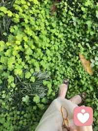 春天，很治愈的感觉❤️