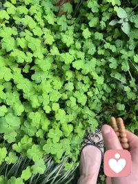 春天，很治愈的感觉❤️