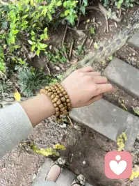 春天，很治愈的感觉❤️